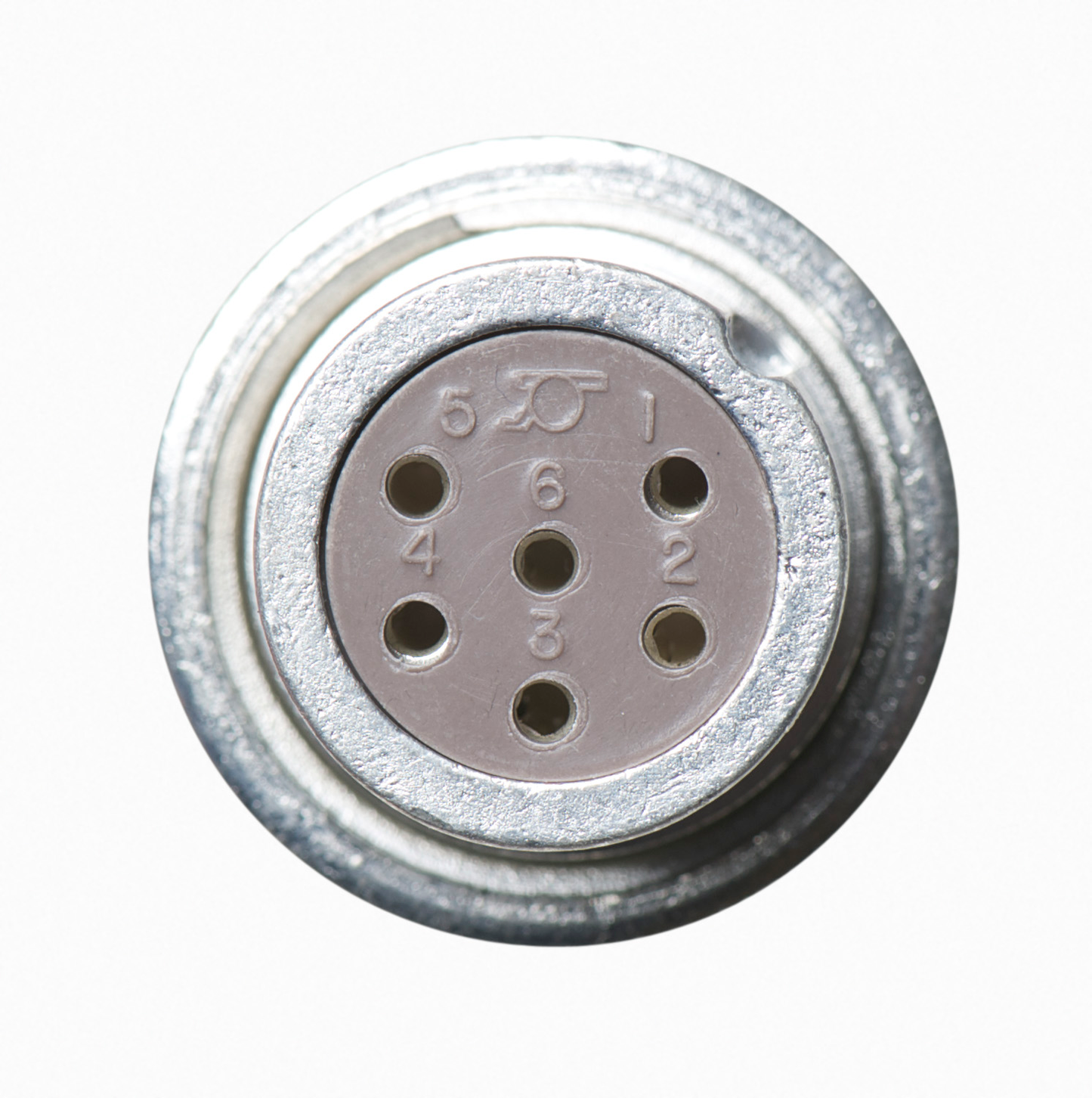 Datascope DS-1 BP cable (6F)